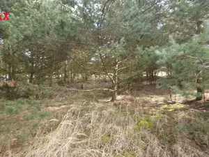 Prodej pozemku pro bydlení, Olešná, 1249 m2