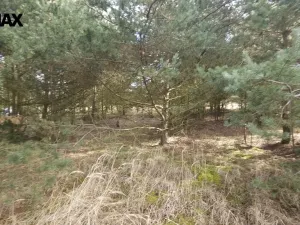 Prodej pozemku pro bydlení, Olešná, 1249 m2