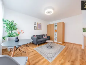 Prodej bytu 1+kk, Beroun - Beroun-Město, Karly Machové, 29 m2