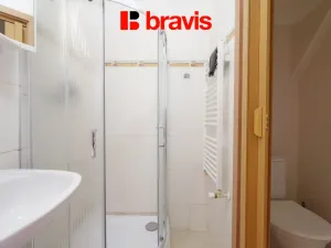 Pronájem bytu 1+kk, Brno, Palackého třída, 28 m2