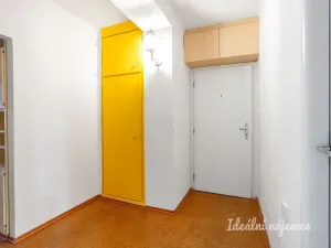 Pronájem bytu 2+1, Praha - Vršovice, Holandská, 55 m2