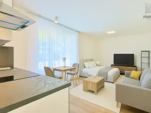 Pronájem bytu 1+kk, Brno, Bystrcká, 30 m2