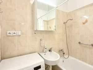 Pronájem bytu 1+1, Jablonec nad Nisou, Březová, 41 m2