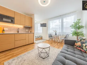 Prodej bytu 1+1, Beroun - Beroun-Město, Karly Machové, 29 m2