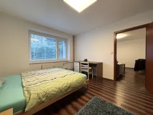 Pronájem bytu 2+1, Plzeň - Východní Předměstí, Božkovská, 57 m2