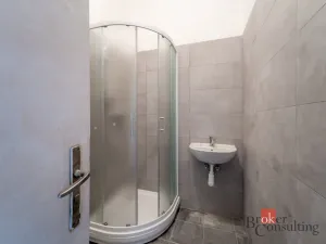 Prodej atypického bytu, Blansko, nám. Svobody, 309 m2
