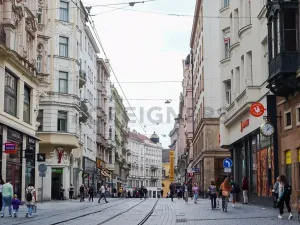 Pronájem bytu 1+kk, Brno, Bašty, 36 m2