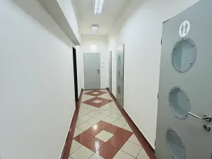 Pronájem kanceláře, Praha - Nové Město, 85 m2