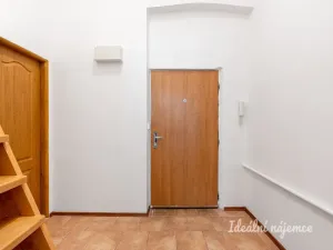 Pronájem bytu 1+1, Praha - Žižkov, Bořivojova, 49 m2