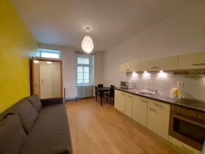 Pronájem bytu 1+1, Praha - Žižkov, Vlkova, 35 m2