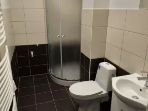 Pronájem bytu 1+kk, Olomouc, Dlouhá, 27 m2