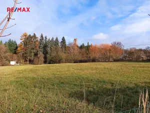 Prodej komerčního pozemku, Václavice, 5061 m2