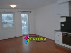 Pronájem bytu 3+kk, České Budějovice - České Budějovice 5, Vrbenská, 67 m2