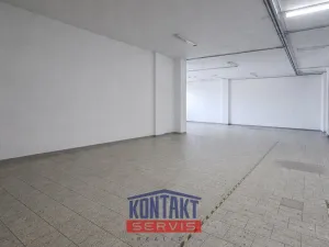 Pronájem výrobních prostor, České Budějovice, U Smaltovny, 200 m2