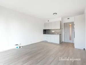 Pronájem bytu 1+kk, Praha, Poděbradská, 32 m2
