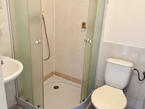 Prodej obchodního prostoru, Liberec - Liberec I-Staré Město, Ruprechtická, 481 m2