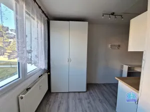 Prodej bytu 2+1, Stříbro, Gagarinova, 61 m2