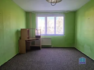 Prodej bytu 2+1, Stříbro, Gagarinova, 61 m2