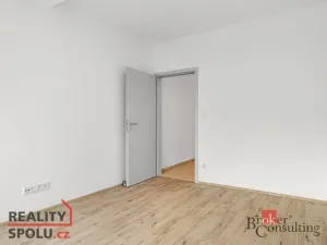 Pronájem bytu 2+kk, Plzeň - Jižní Předměstí, Železná, 52 m2