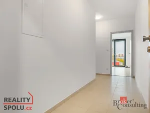 Pronájem bytu 2+kk, Plzeň - Jižní Předměstí, Železná, 52 m2