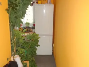 Pronájem bytu 1+1, Praha - Záběhlice, Práčská, 37 m2