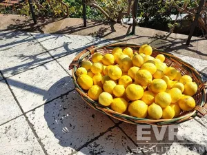 Pronájem vily, Corsanico, Itálie, Via di Casesi, 200 m2