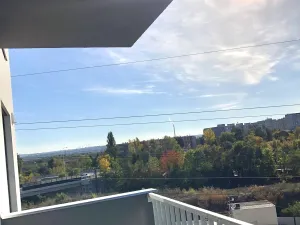 Prodej bytu 1+kk, Praha, Za černým mostem, 29 m2