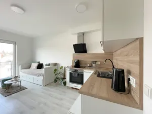 Pronájem bytu 1+kk, Olomouc, Edmunda Husserla, 29 m2