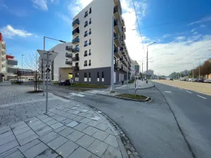 Pronájem bytu 1+kk, Olomouc, Edmunda Husserla, 29 m2