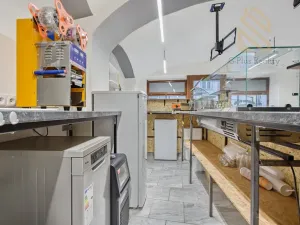 Prodej obchodního prostoru, Louny, Pivovarská, 55 m2