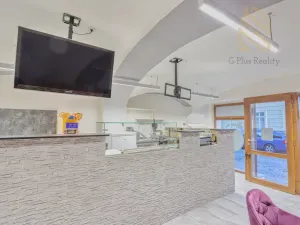 Prodej obchodního prostoru, Louny, Pivovarská, 55 m2