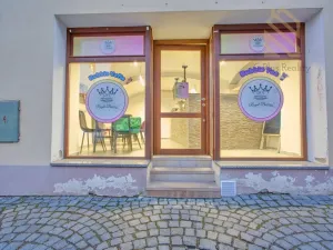 Prodej obchodního prostoru, Louny, Pivovarská, 55 m2