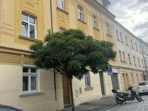 Pronájem bytu 2+1, Praha - Břevnov, Na Petynce, 47 m2