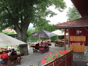 Prodej ubytování, Vikýřovice, Petrovská, 1063 m2