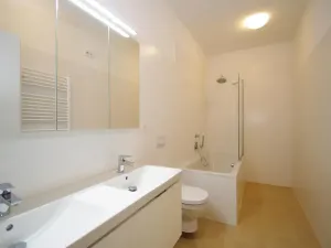 Pronájem bytu 3+kk, Praha - Vinohrady, Balbínova, 101 m2