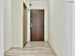 Pronájem bytu 2+kk, Most, Františka Malíka, 39 m2