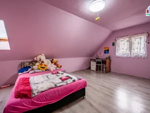 Prodej rodinného domu, Všesulov, 160 m2