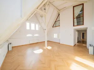 Pronájem bytu 5+1, Praha - Malá Strana, Újezd, 286 m2