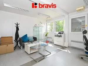 Pronájem skladu, Brno - Horní Heršpice, Pražákova, 301 m2