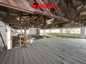 Pronájem skladu, Brno - Horní Heršpice, Pražákova, 301 m2