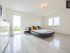 Prodej rodinného domu, Dalovice - Všeborovice, 315 m2