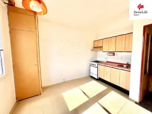 Pronájem bytu 1+1, Plzeň, Hodonínská, 39 m2