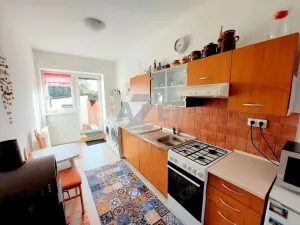 Prodej bytu 3+1, Krnov - Pod Bezručovým vrchem, Březinova, 177 m2