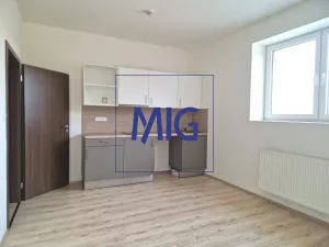 Pronájem bytu 2+kk, Syrovice, 48 m2