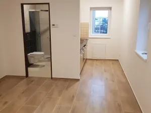 Pronájem bytu 1+kk, Jablonec nad Nisou, Květinová, 28 m2