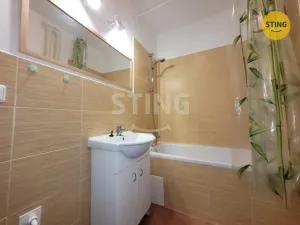 Pronájem bytu 1+1, Ostrava, Zeyerova, 31 m2