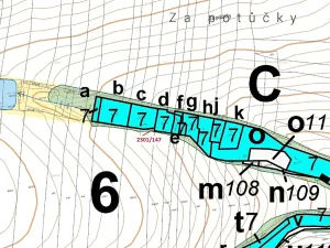 Dražba lesa, Hosty, 19 m2