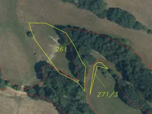 Dražba louky, Zábřeh, 2481 m2