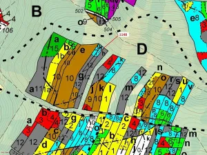 Dražba lesa, Vilice, 1105 m2