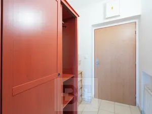 Pronájem bytu 1+1, České Budějovice, 51 m2